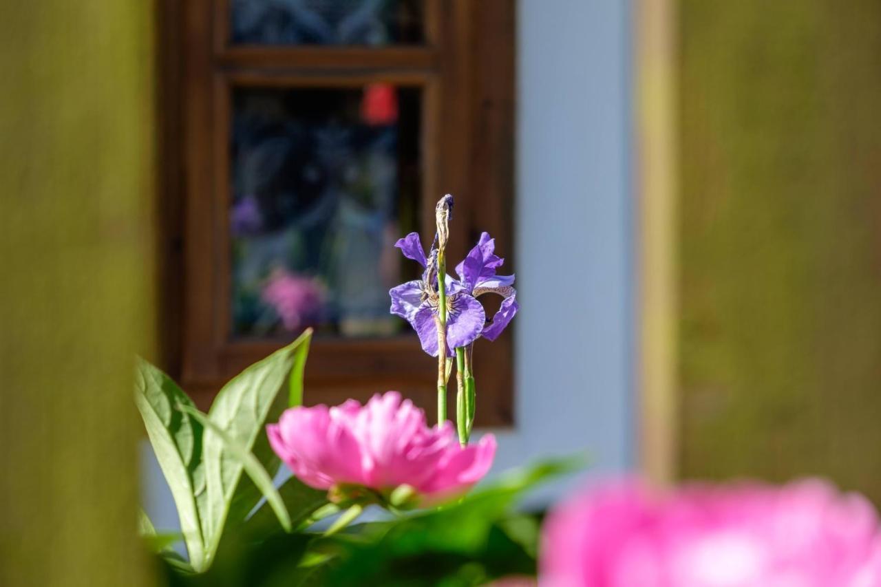 Loci Palochaz Villa Nagyloc Exteriör bild