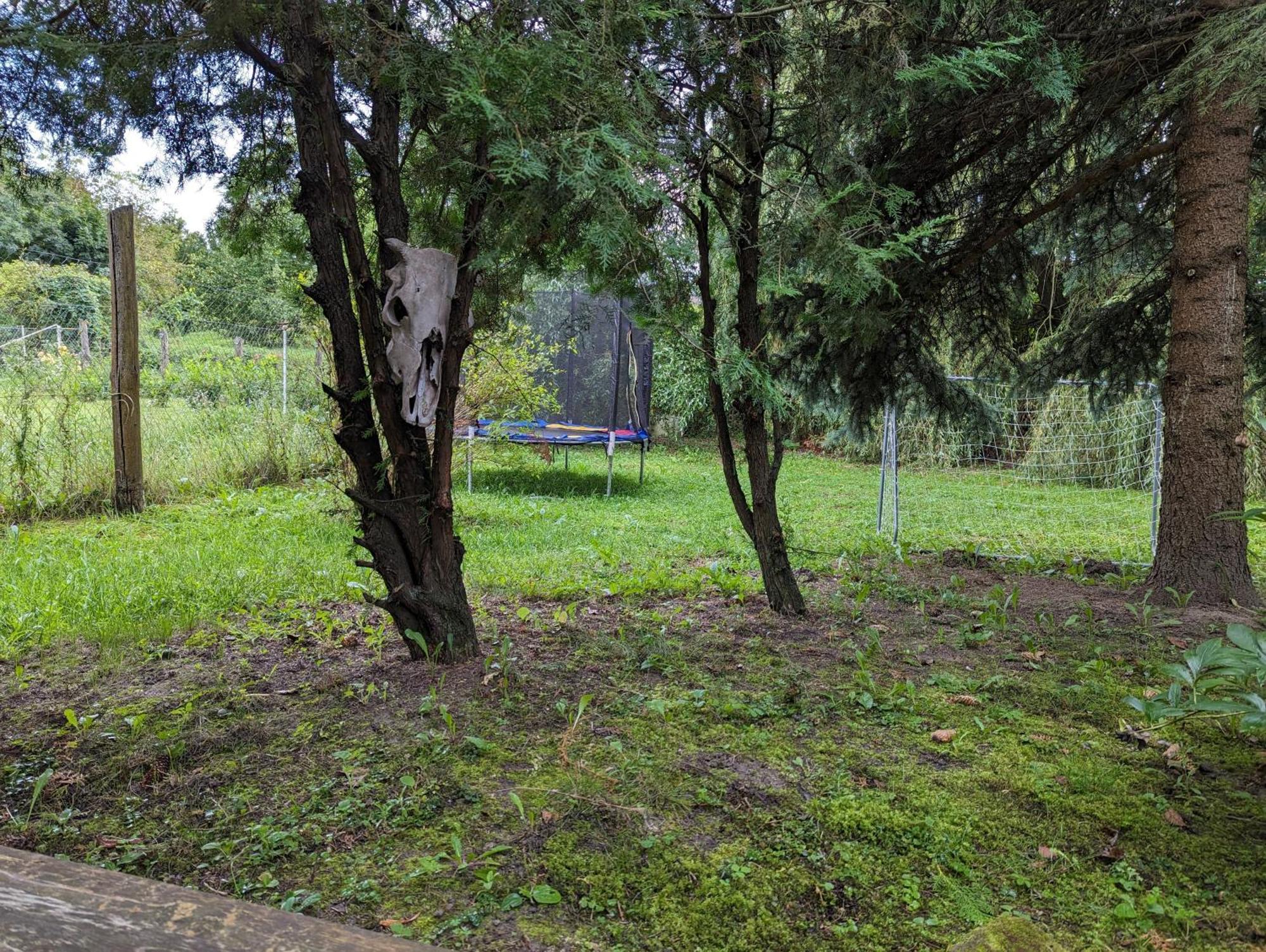 Loci Palochaz Villa Nagyloc Exteriör bild